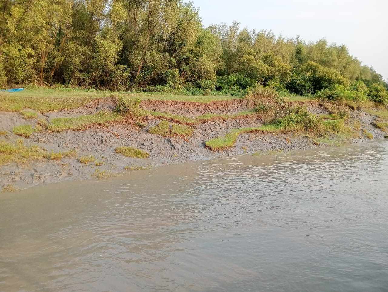 দেবহাটার ইছামতি নদীর ভাঙ্গনে বদলে যাচ্ছে মানচিত্র, হুমকির মুখে রুপসী ম্যানগ্রোভ