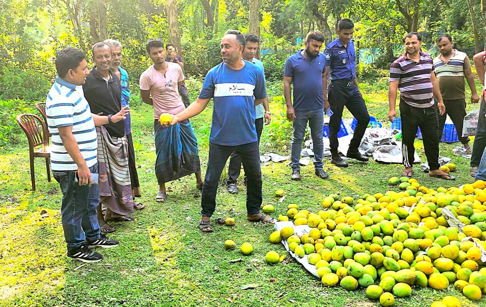 দেবহাটায় ইউএনওর অভিযানে ক্যামিক্যাল মিশানো ৫০ ক্যারেট আম জব্দ