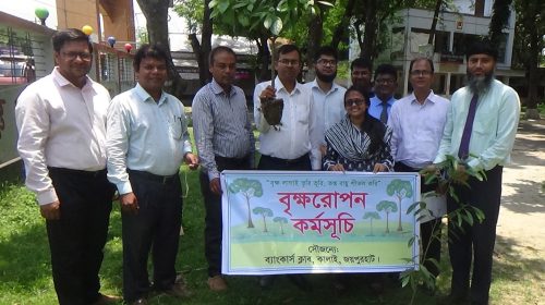 কালাই ব্যাংকার্স ক্লাবের উদ্যোগে শতাধিক বৃক্ষরোপণ